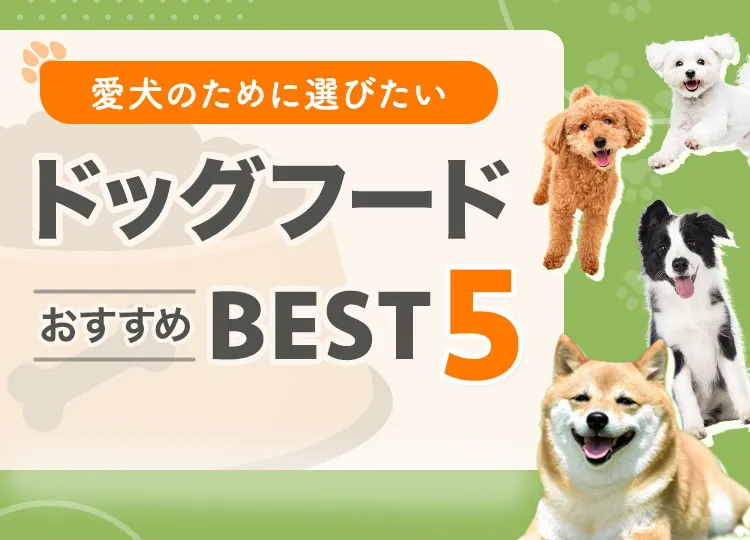 愛犬のために選びたいドッグフードBEST5
