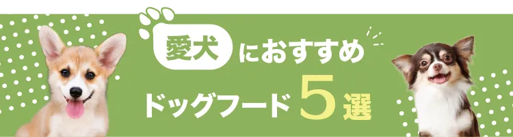 愛犬におすすめドッグフード5選
