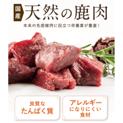 犬猫生活ドッグフード