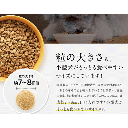 このこのごはん