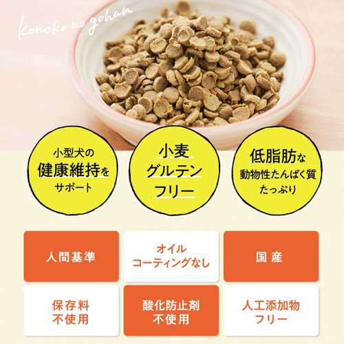 このこのごはん