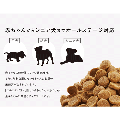 このこのごはん